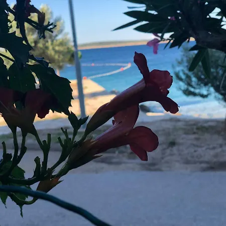 Croatia アパート *