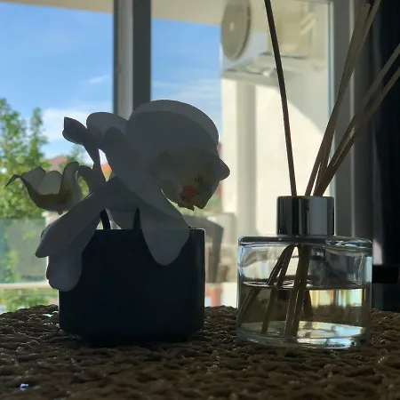 Croatia * マンドレ