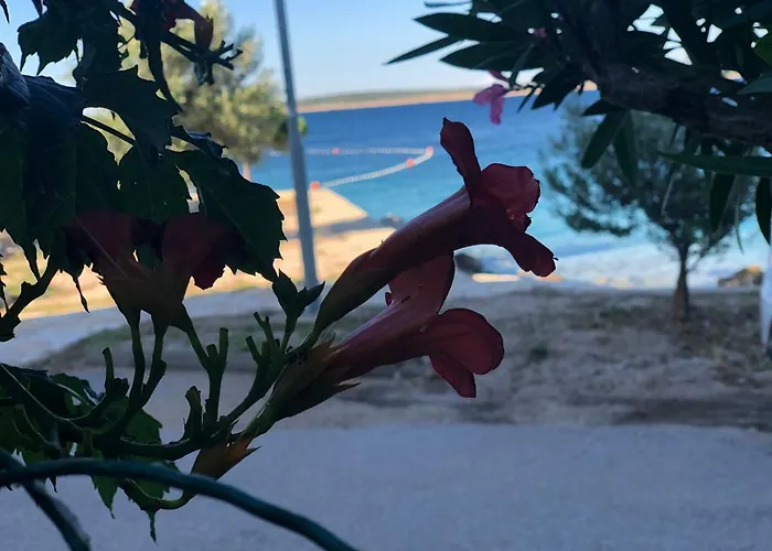 Croatia Apartman *